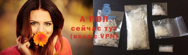 соль ск Алексин
