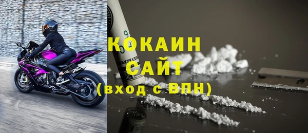 соль ск Алексин