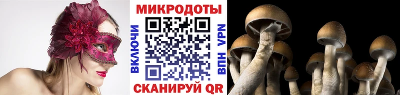 ссылка на мегу ссылка  Болотное  Галлюциногенные грибы Psilocybe  цены  